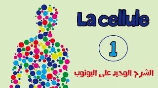 la celluleالخلية le premier épisode de lanatomie [upl. by Lupita]