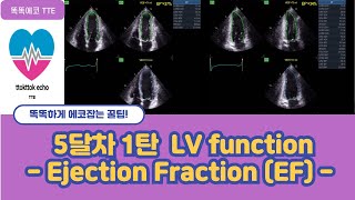 Ejection Fraction EF LV systolic function  심장기능 echocardiography 심장초음파 심박출률  stroke volume [upl. by Stempson985]