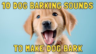 Dog Barking Sounds to Make Your Dog Bark [upl. by Eimrej]