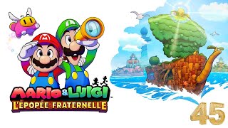 Mario et Luigi lEpopée Fraternelle 45 Le Combat Final [upl. by Sidalg]