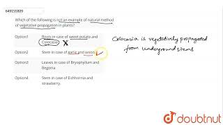 Which of the following is not an example of natural method of vegetative propagation in plants [upl. by Eisus]