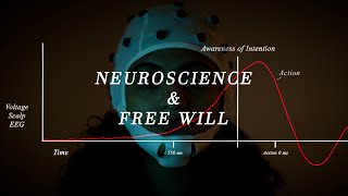 Neuroscience amp Free Will Libets Experiment [upl. by Gnart428]