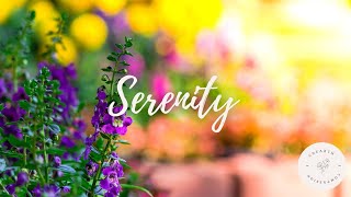 10 Minute Guided Imagery Meditation for Serenity  Private Secret Garden [upl. by Llennoc]