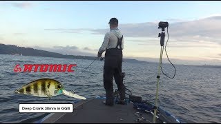 How To  Crankbait Bream in Shallow Rocky Water [upl. by Joelynn]