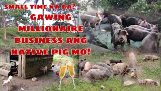 Poor Native Pig Gawing Pang Millionaire Business Mo [upl. by Sanderson297]