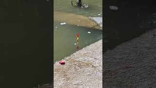 Amazing fish catching with fishing rod [upl. by Aerdnod]