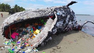 10 Nare Dingen Veroorzaakt Door Plastic in de Oceaan [upl. by Zetroc926]