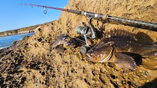 Catching Rockfish From Shore Using Squid [upl. by Tichonn711]