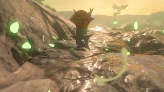 Korok seeds  Mount Rhoam  Ridgeland Tower 2324  Zelda BOTW [upl. by Esahc233]