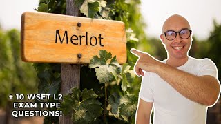 Merlot WSET Level 2 in Wines 10 WSET exam type questions [upl. by Stamata]