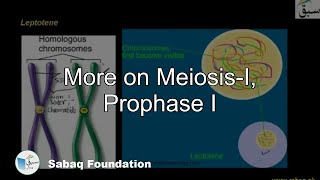 Meiosis Prophase I Biology Lecture  Sabaqpk [upl. by Reppart]