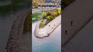 Die Loreley in Herbstfarben Loreley rheintal dji mini4pro [upl. by Roi]