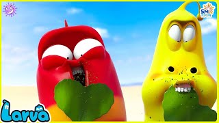 LARVA SEASON 2 EPISODE 203  304 🍟 NEST VERSION LARVA  COMICS  MINI SERIES FROM ANIMATION LARVA [upl. by Anytsirhc]