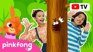 4K PeekaBoo  Dance Along  Kids Rhymes  Lets Dance Together  Pinkfong Songs for Kids [upl. by Waterer]