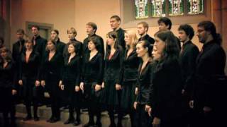 When David Heard by Eric Whitacre Part 1 [upl. by Gauntlett]