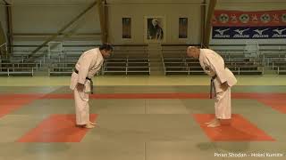 PINAN SHODAN HOKEI KUMITE [upl. by Whetstone]