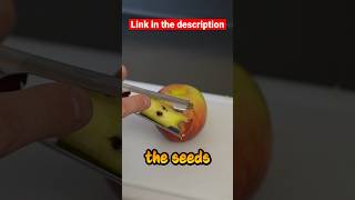 How to core an apple [upl. by Einnal]