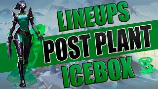 🐍12 LINEUPS VIPER ICEBOX  POST PLANT🏆 [upl. by Ylla]