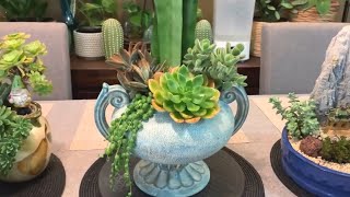 Succulents in Greek Ceramic Vase [upl. by Amikehs]