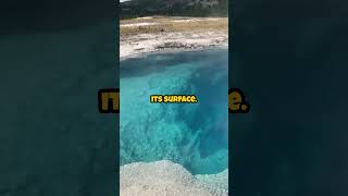 Top 5 Strangest Lakes in the World 🌍 StrangeLakes Top5 UniqueNature AmazingEarth [upl. by Alfons]