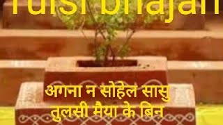 Mata Tulsi per geet बेदिया न सोहै मैया तुलशी केusha shiv ji sangeet 🙏🙏 [upl. by Anayt]