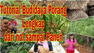 Tutorial Budidaya Porang Full dari Nol sampai Panen [upl. by Letizia511]