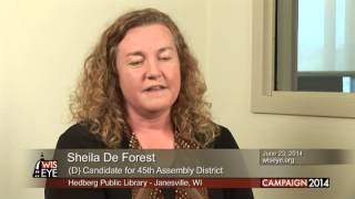 Sheila De Forest D for 45th Assembly District [upl. by Henebry]