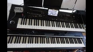 set rai 2019 korg pa4x [upl. by Cirek37]