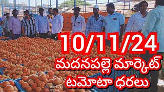 101124 Madanapalle Tomato Market price Today  Today Tomato Market Rate in Madanapalle today [upl. by Llertnac]