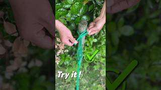 Join Us  😁😁 camping rope knot skills [upl. by Auhsot]