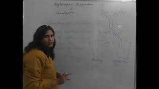 Phytochrome in Photoperiodism and Vernalization [upl. by Fraze]