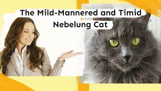 The Mild Mannered and Timid Nebelung Cat [upl. by Ennaisoj]