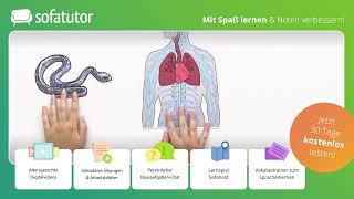 Zentrales und peripheres Nervensystem einfach erklärt – Biologie 7  10 Klasse [upl. by Letty]