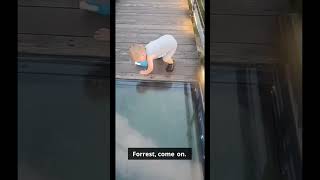 Watch the adorable struggle of a toddler facing his fears on a glass bridge 🌟 [upl. by Willtrude]