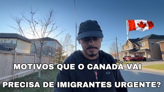 motivos porque o Canada vai precisa de imigrantes em 2024  2025  2026  🇨🇦 [upl. by Pillihp]