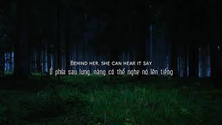 Vietsub  Lyrics Lily  Alan Walker K391 Emelie Hollow [upl. by Imeaj]