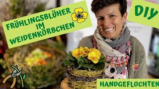 KORBFLECHTEN für Anfänger  Flechtkorb mit Blühpflanze einfach selber gemacht [upl. by Yahsal835]