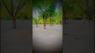 Apne Dil se Mera haq mitane Lage shortvideo statusvideo whatsappstatus teamimran154 [upl. by Nylrahc]