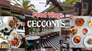 Cecconis West Hollywood Food Vlog  Guess who got Tipsy [upl. by Eselehs261]