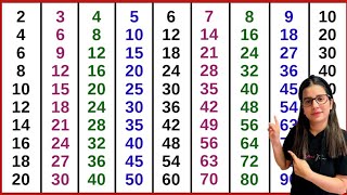 Learn 2 to 20 Tables  Table of 2 to 20  Multiplication Tables [upl. by Orag188]