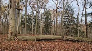 Day hike  The Buckeye Trail Bedford section [upl. by Marie-Ann474]