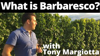 What Is Barbaresco Wine [upl. by Norreg]