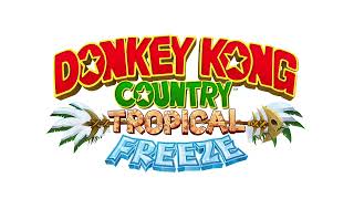 Seashore War  Donkey Kong Country Tropical Freeze Music Extended [upl. by Katzir]