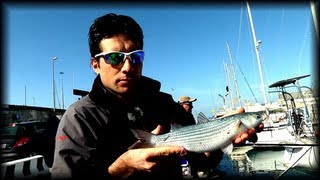 Trabucco TV  Pesca in Mare  Cefali in Porto con Saverio Rosa [upl. by Talanian349]