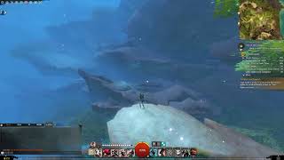 Guild Wars 2 Auric Basin  Burnisher Quarry Vista No Mount [upl. by Enyr]