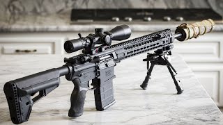 Best 308 Rifles 2024 Who is The NEW 1 [upl. by Hasan]