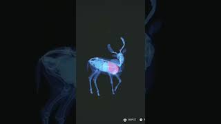 Two rares 1 run cotw rares deer [upl. by Alvarez631]