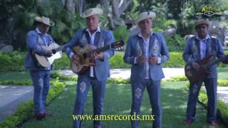 Los Armadillos de la Sierra  Para Sobrevivir Video Oficial [upl. by Nathanil330]