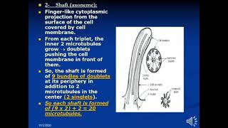 non membranous organelles [upl. by Hymen]