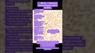 Infectious mononucleosis caused by EBV spreads through saliva and results in Downey cells biology [upl. by Nowd]